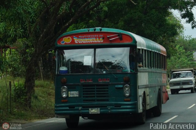 Autobuses de Tinaquillo 11 por Pablo Acevedo