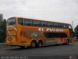 El Pulqui S.R.L. 037 Sudamericanas F50 DP Scania K420