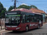 Bus MetroMara 083, por Sebastin Mercado
