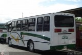 Transporte Virgen del Carmen 30