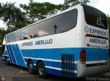 Expresos Amerlujo 411