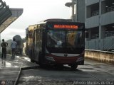 Bus CCS 1308, por Alfredo Montes de Oca