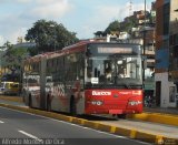 Bus CCS 1004, por Alfredo Montes de Oca