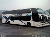 Expresos M�rida 553