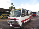 A.C. Lnea Autobuses Por Puesto Unin La Fra 06 Fanabus Minimetro Ford B-350