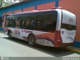Bus Taguanes 10