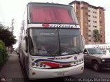 Expresos Occidente 243