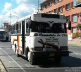 A.C. Transporte Zamora 24
