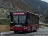 Bus Viga 666, por Leonardo Saturno