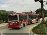 Bus CCS 1010, por David Olivares Martinez
