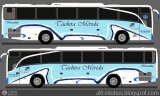 Diseos Dibujos y Capturas TM-113 Carroceras Urea Platinum Chevrolet - GMC LV150
