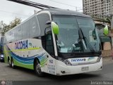 Buses Tacoha (Chile) 162