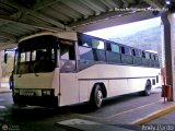 Transporte Interestadal Tica 91 CAndinas - Carroceras Andinas U1300 Pegaso 5036