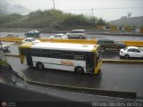 MI - Transporte Colectivo Santa Mara 10