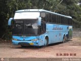 Expresos M�rida 133