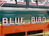 Transporte El Esfuerzo 33 Blue Bird Convencional Integral Blue Bird Diesel 01