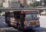 Transporte Privado Joaranny 183, por Dilan Noguera