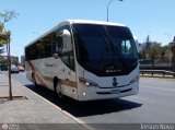 Romanini Bus 90
