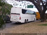Servicios Especiales del Centro 10 por Alvin Rondon