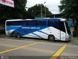 Expresos Amerlujo 417, por Oscar Primera