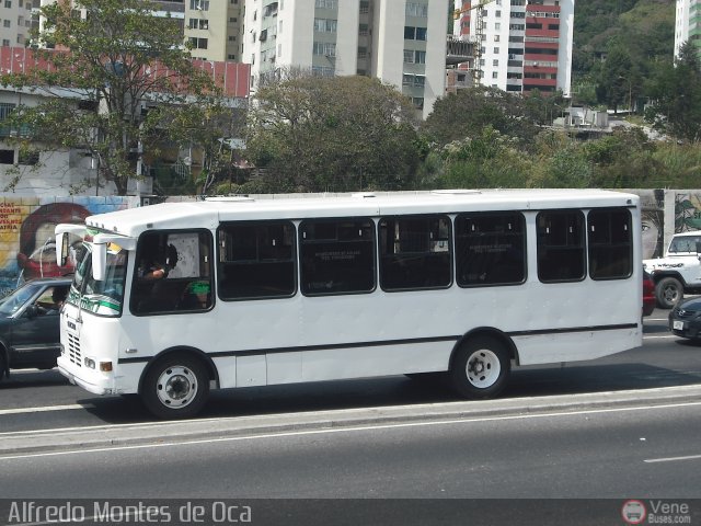 Transporte Mrida Ejido 03 por Alfredo Montes de Oca