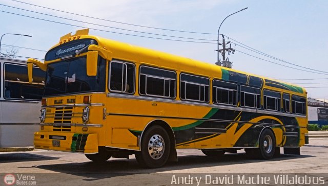 ZU - Colectivos Concepci�n 014 por Andry David Mache Villalobos