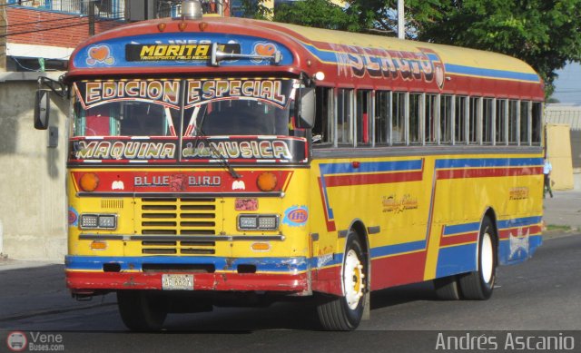 Transporte Palo Negro La Morita 2 085 por Andrs Ascanio