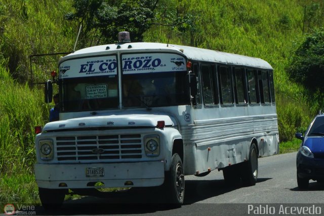 TA - Uni�n Transporte El Corozo S.A. 24 por Pablo Acevedo