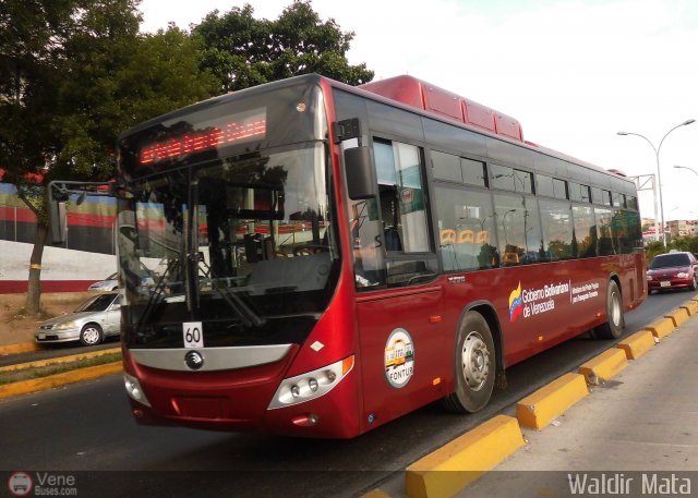 TransAragua S.A. 60 por Waldir Mata