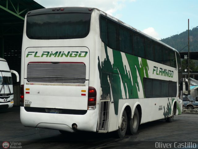 Expresos Flamingo 0183 por Oliver Castillo