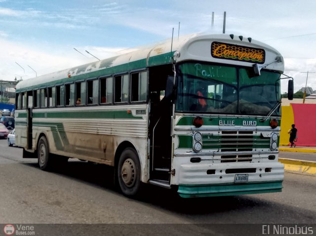 ZU - Colectivos Concepci�n 116 por �ngel Delgado