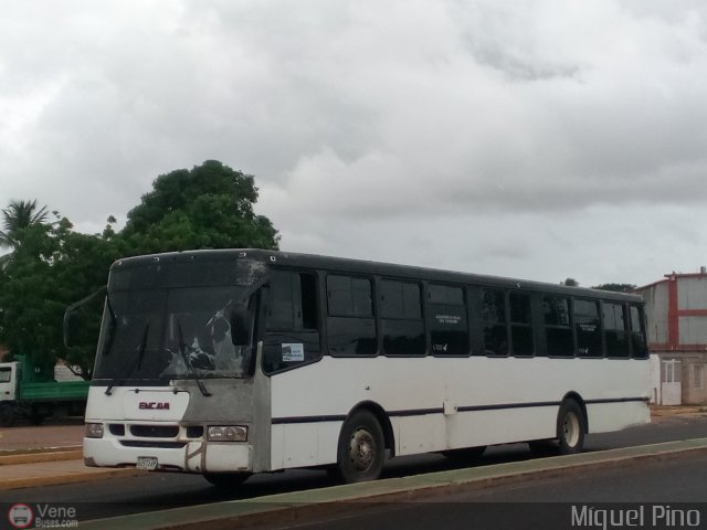 A.C. de Transporte Macizo Guayan�s 02 por Miguel Pino