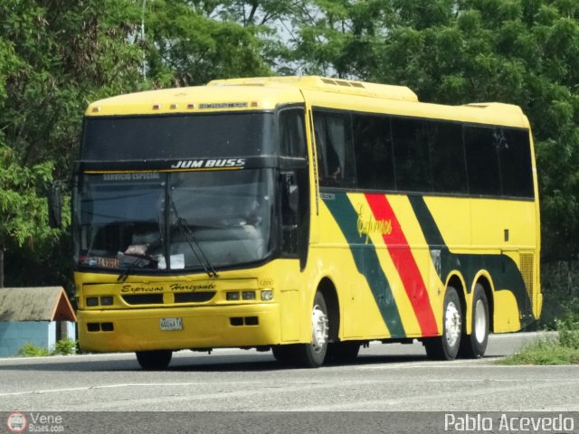 Expresos Horizonte 36 por Pablo Acevedo