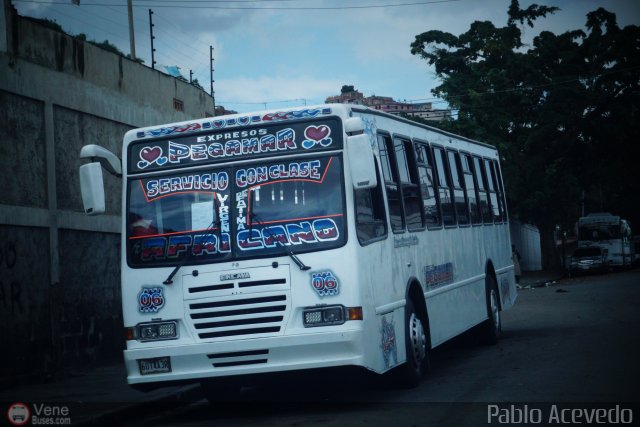 Expresos Pegamar 0006 por Pablo Acevedo