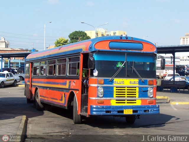 Colectivos Perij 36 por J. Carlos Gmez