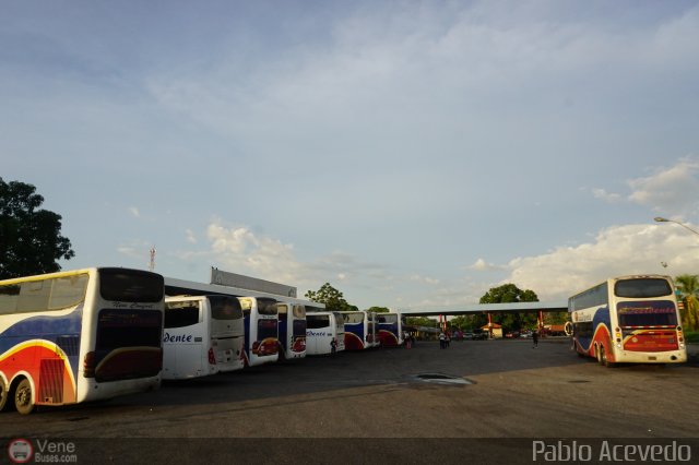 Expresos Occidente Gua 2019 14 por Pablo Acevedo