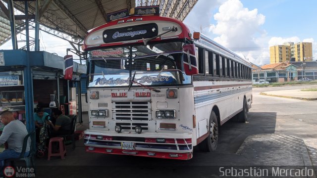 Colectivo Matera Nueva 24 por Sebastin Mercado