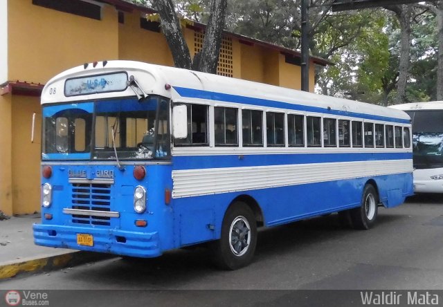 Universidad Sim�n Bol�var 08 por Waldir Mata