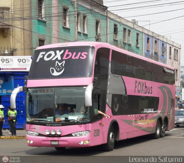 Fox Bus 230 por Leonardo Saturno