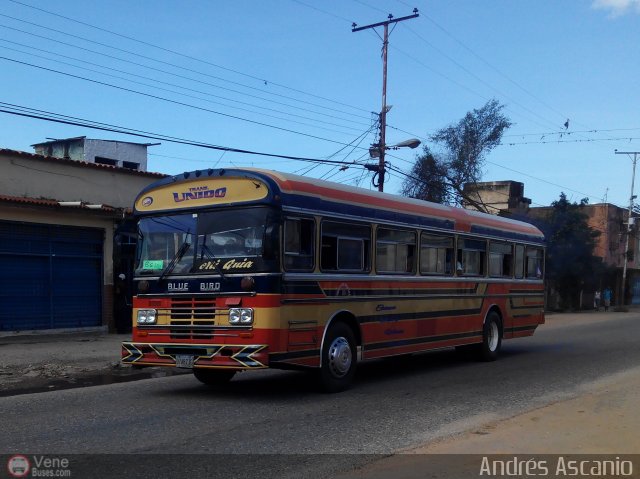 A.C. de Transporte Santa Ana 29 por Andrs Ascanio