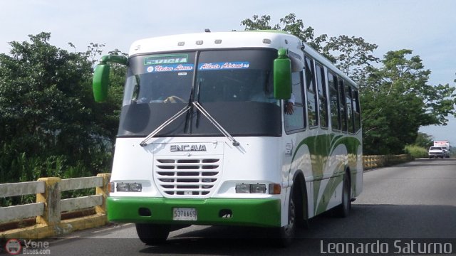 Uni�n L�nea Alberto Adriani C.A. 08 por Leonardo Saturno