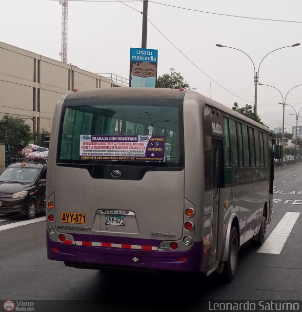 Consorcio del Corredor Morado 871 por Leonardo Saturno