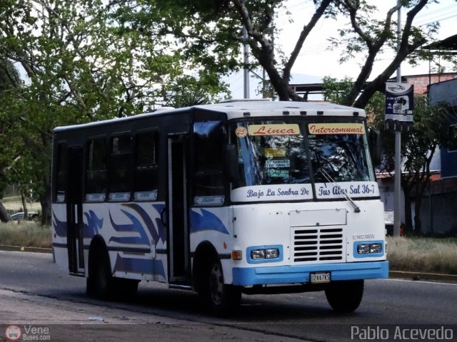 TA - A.C. L�nea Intercomunal 25 por Pablo Acevedo