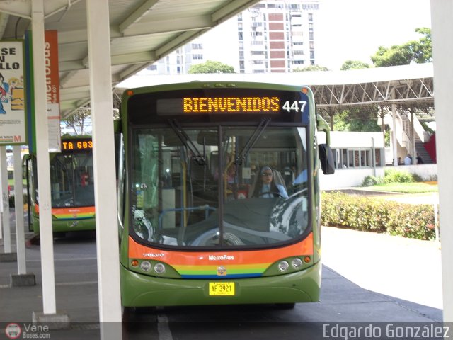 Profesionales del Transporte de Pasajeros Vanessa  por Edgardo Gonz�lez