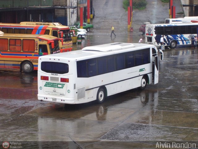 Servicios Especiales del Centro C.A. 28 por Alvin Rond�n