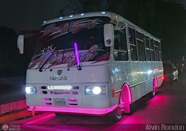 AR - Rosa Mstica de Cagua C.A. 37 por Alvin Rondn