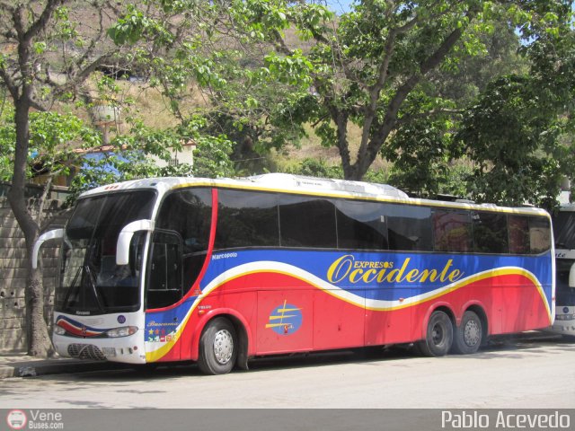 Expresos Occidente 126 por Pablo Acevedo