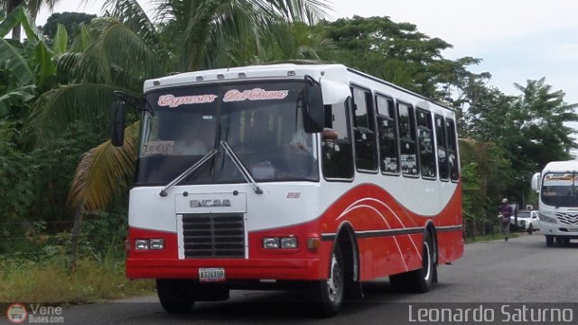 S.C. L�nea Transporte Expresos Del Chama 156 por Leonardo Saturno