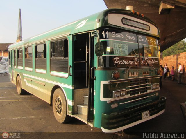 Expresos Continente C-11 por Pablo Acevedo