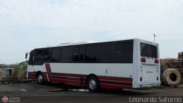 Particular o Desconocido 0373 por Leonardo Saturno